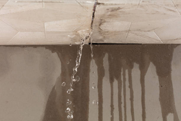 Professional Flood Damage Cleanup technician working in Wilson, PA